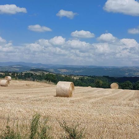 Gite Le Petit Nice Pradelles Buitenkant foto