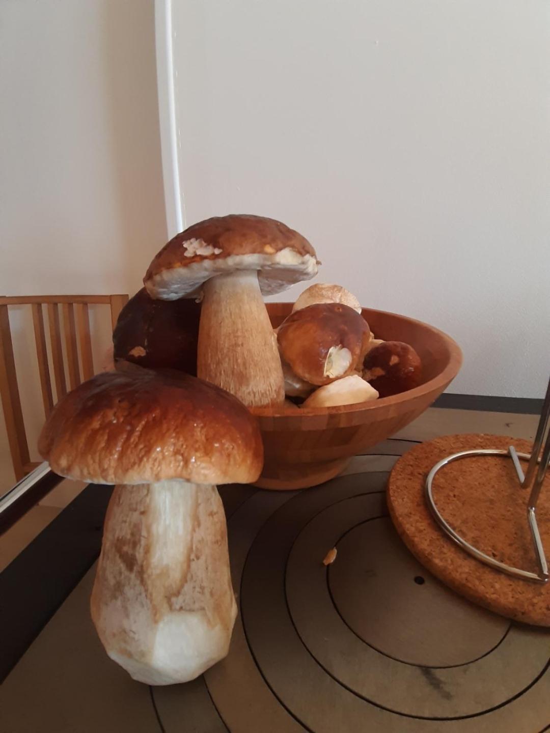 Gite Le Petit Nice Pradelles Buitenkant foto