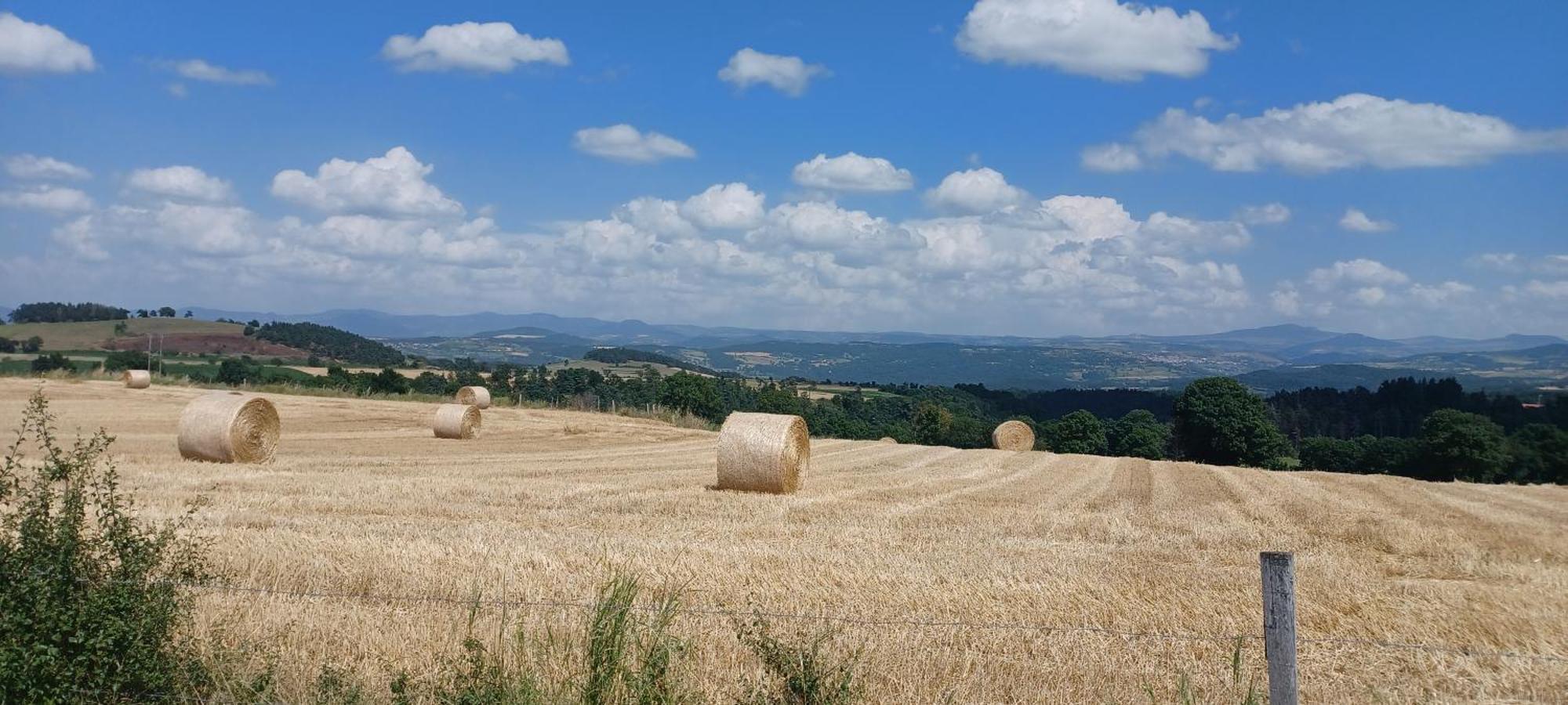 Gite Le Petit Nice Pradelles Buitenkant foto